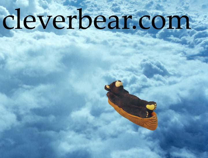 cleverbear.com